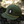 Umpqua Hat Green