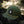 Umpqua Hat Green