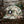Duck Camo Hat Light