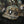 Realtree Camo Hat