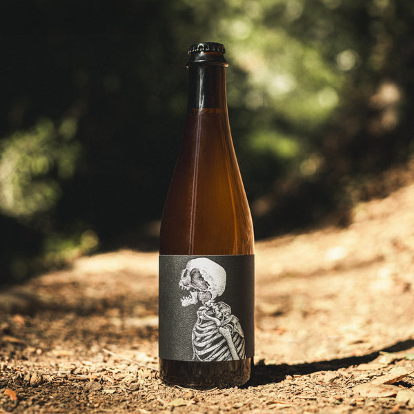 South Of Nelson - Saison